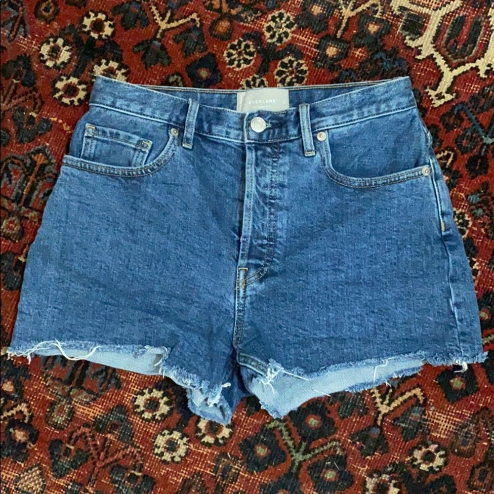 Everlane Cheeky Shorts